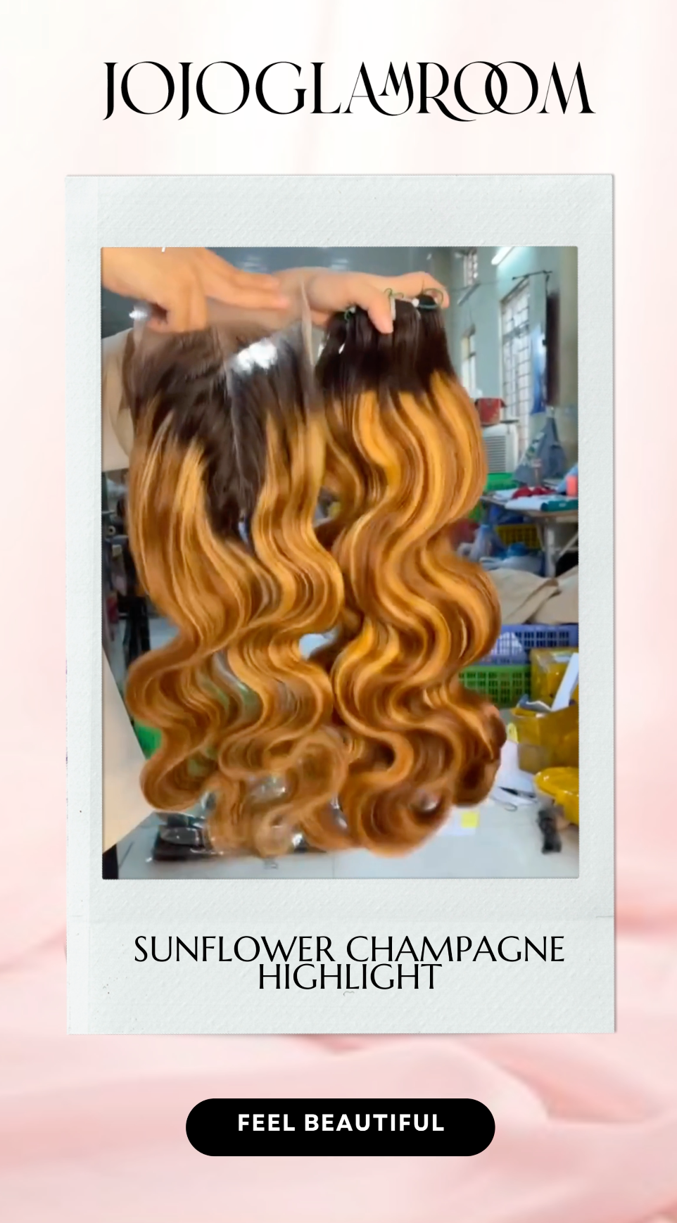 Sunflower Champagne Highlight